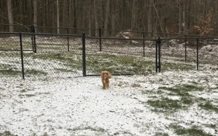 Winter Storm to Hit Chattanooga Area with Snowfall on Saturday