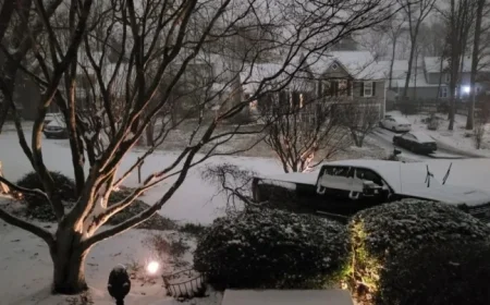 Northern Virginia’s Preliminary Snow Totals Released