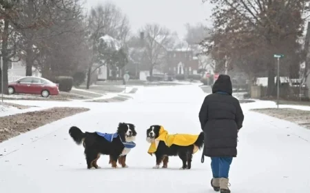 Ice Storm Creates Hazardous Road Conditions in Charlotte