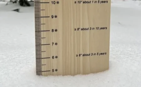 Top Snowfall Locations in the DC Region Revealed