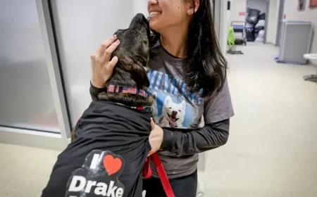 Patriots’ Mike Vrabel Transforms Shelter Dog Culture, Says Robert Kraft’s Wife