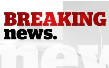 GTA School Boards Announce Monday Snow Day After 60 cm Snowfall