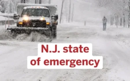 Seahawks’ Jody Allen to Raise 12th Flag Against Rams