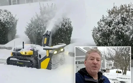 NJ Man Relaxes as $5K Robotic Snow Blower Clears Driveway in Storm Fern