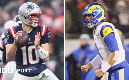 NFL Playoffs: Rams and Patriots Advance to Conference Championships