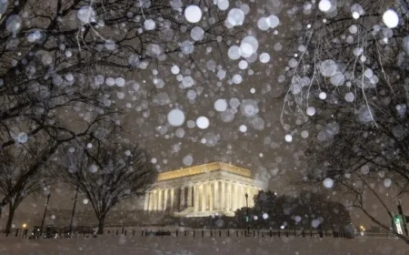 Winter Storm Strikes D.C. Region: Essential Updates