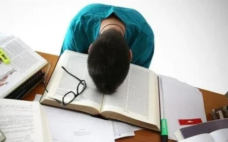 Teen Flees to Goa With Sister’s UPSC Fees, Citing Exam Stress