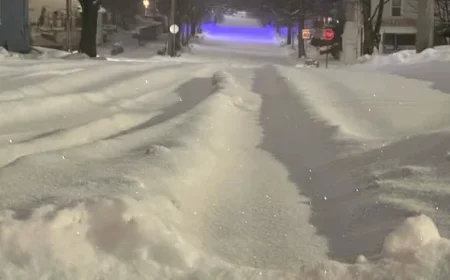 Major Snowstorm Triggers Cancellations and Closures Across Nova Scotia