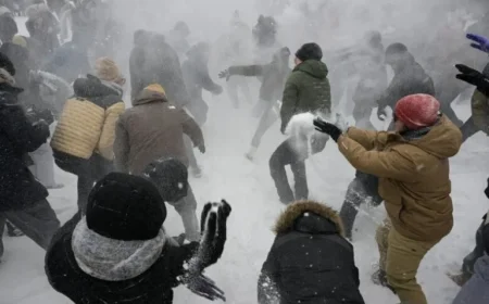Extended Sleet Storm Strikes DC Region