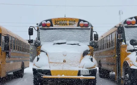 Waterloo Region, Guelph Schools Close Monday Amid Winter Storm