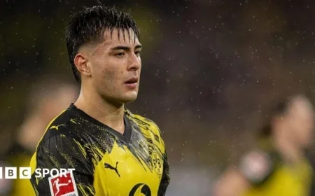 Chelsea Recalls Anselmino from Dortmund Loan