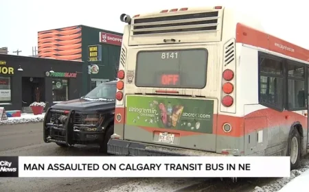 Man Assaulted on Calgary Transit Bus in Northeast Saturday