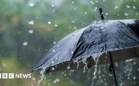 Storm Chandra Strikes NI with Wind and Rain Warning