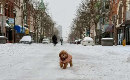 Philadelphia Snow: Latest Forecast and Accumulation Totals