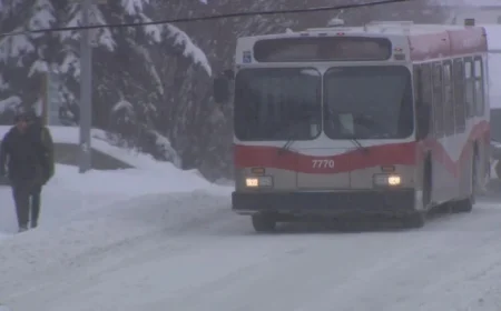 Police Report: Random Attack on NE Calgary Transit Bus Injures One
