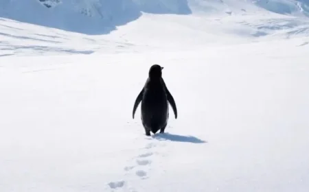 2007 Documentary’s Nihilist Penguin Clip Goes Viral in 2026