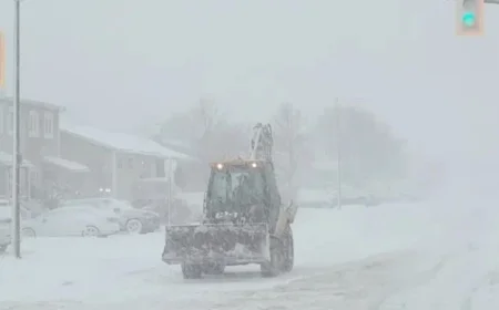 Avalon Faces 12-25 cm Snowfall from Mainland Storm Today