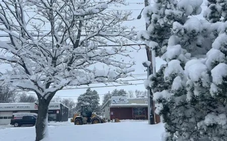 Heavy Snowfall Causes Delays and Closures on P.E.I.