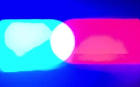 Women Accused of Biting Border Patrol Agents After Alex Pretti Shooting