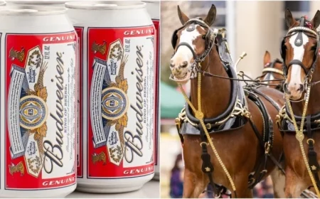 Budweiser Unveils Stunning Super Bowl Ad: Watch Now
