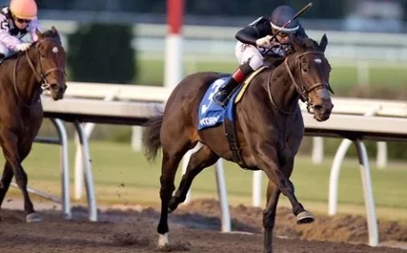 Stormcast, Graded Stakes Winner, Joins F-T Mixed Sale Lineup