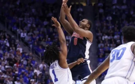 Toronto Recovers from Record-Breaking Snowfall