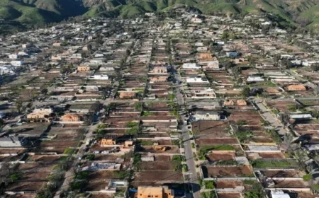 Trump Expedites Permits for Rebuilding Fire-Ravaged Homes in L.A.