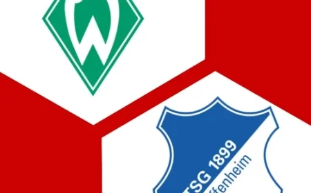 Werder Bremen Falls 0-1 to TSG Hoffenheim in Bundesliga 2025/26