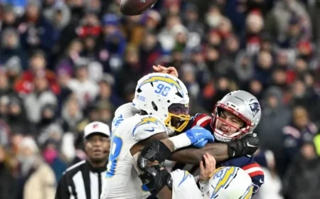 Cincinnati Bengals Target Top Defensive Ends in Free Agency