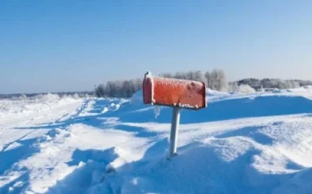 State Initiates Crackdown on Grok and xAI Activities