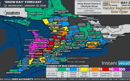 Snow Day: Southern Ontario Faces More School Bus Cancellations Wednesday