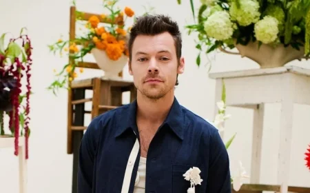 11.5 Million Register for Harry Styles’ Madison Square Garden Concerts