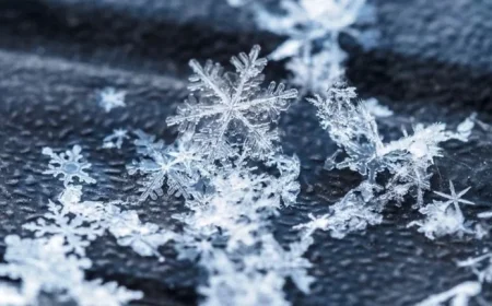 Could Gulf-Effect Snow Hit Florida? Exploring the Possibility