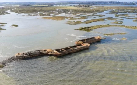 National Trust Creates Bird Sanctuary by Sinking Three Barges