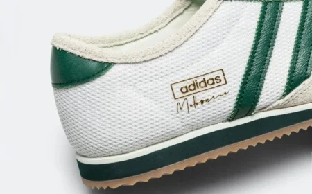 Top 7 Must-Have Sneakers: From Adidas to Vans