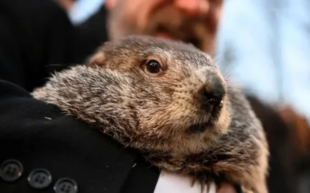 Groundhog Day 2026: Date, Traditions, and Fun Facts Uncovered