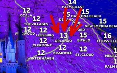 Disney World Park Closes Amid Flight Chaos and System Disruptions