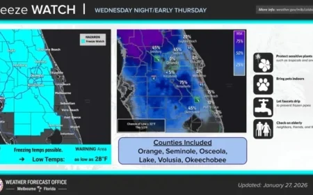 Walt Disney World Prepares for Uncommon Teen Wind Chills This Sunday