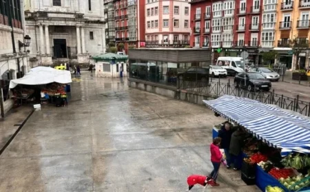 PSOE Demands PP Explain Decline of La Esperanza Farmers’ Market