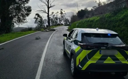 Portalegre Roads Closed or Restricted Due to Severe Weather Conditions