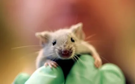 Breakthrough Study: Scientists Achieve Pancreatic Tumor Regression