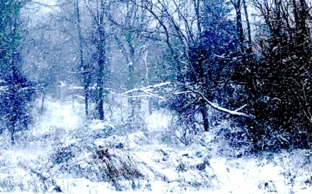 Monday Weather Alert: Icy Roads, Snow, Frost, and Beach Erosion Expected