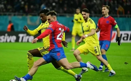 Fenerbahçe Advances to Play-Offs Despite Draw!