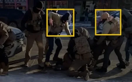 Federal Agents’ Encounter with Alex Pretti Leads to Fatal Shooting