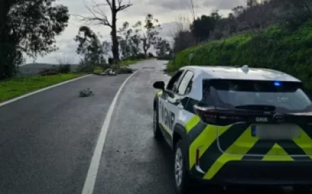 Richard Orrell’s Top Recommendations for January 29, 2026