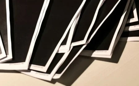 Justice Department Releases New Documents in Epstein Investigation