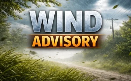 Strong Winds to Sweep Wiregrass Region on Sunday