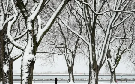 Extreme Cold Warning: Wind Chill Hits -30 at Toronto’s Pearson Airport