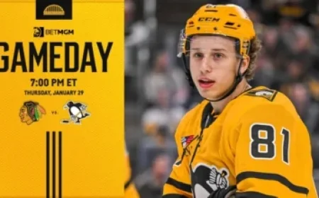 Immigration Panel Urges COPA to Probe Police Assistance to ICE