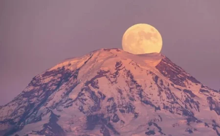 February’s Full Snow Moon Promises Transformation for These Four Star Signs